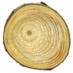 Wooden Candle 5X5Cm Wc5X5Cm