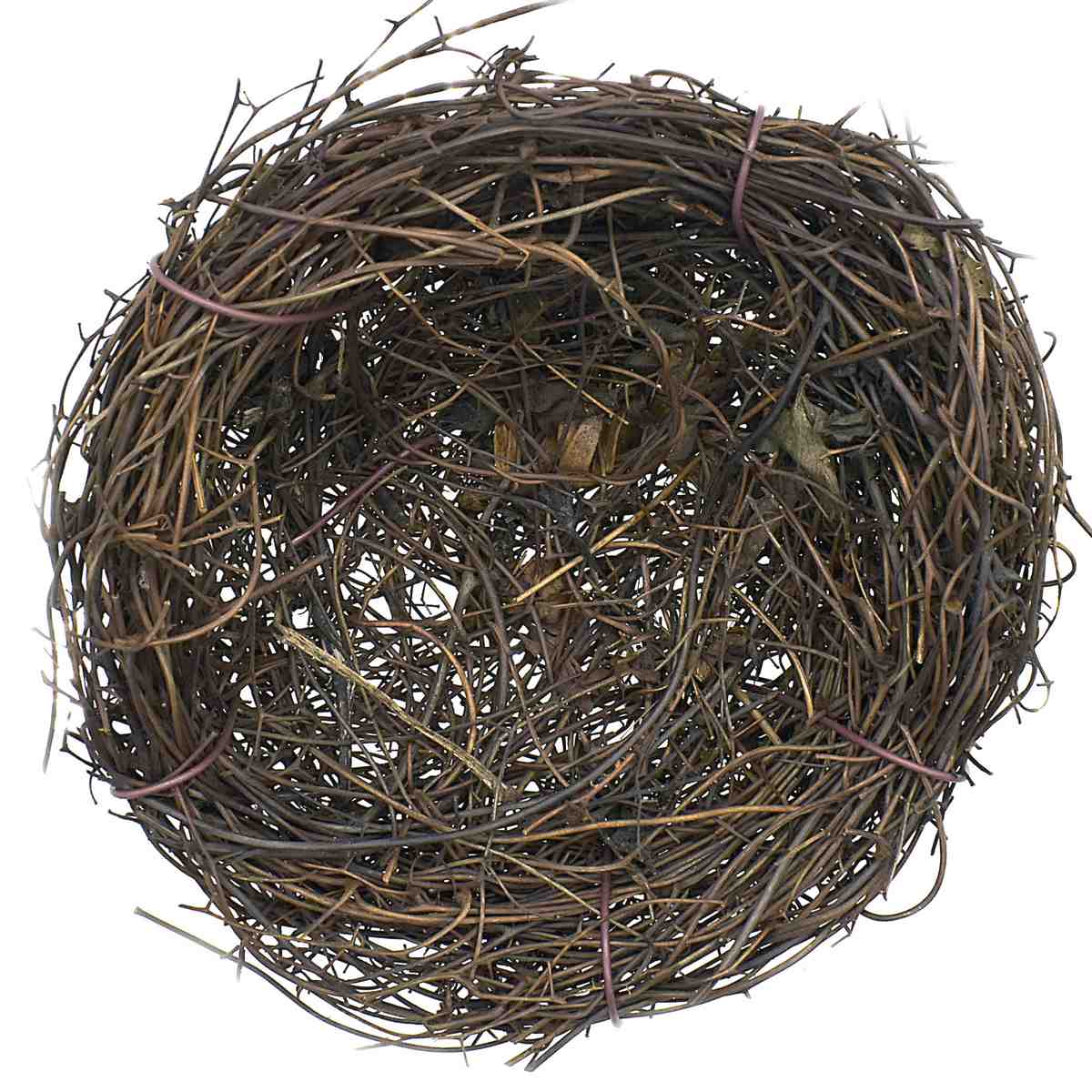 Bird Nest 10Cm Bn10Cm