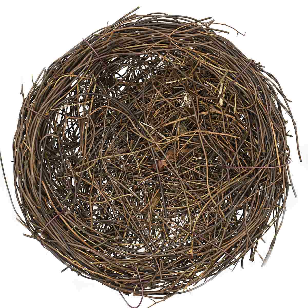 Bird Nest 15Cm Bn15Cm