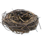 Bird Nest 6Cm Bn6Cm