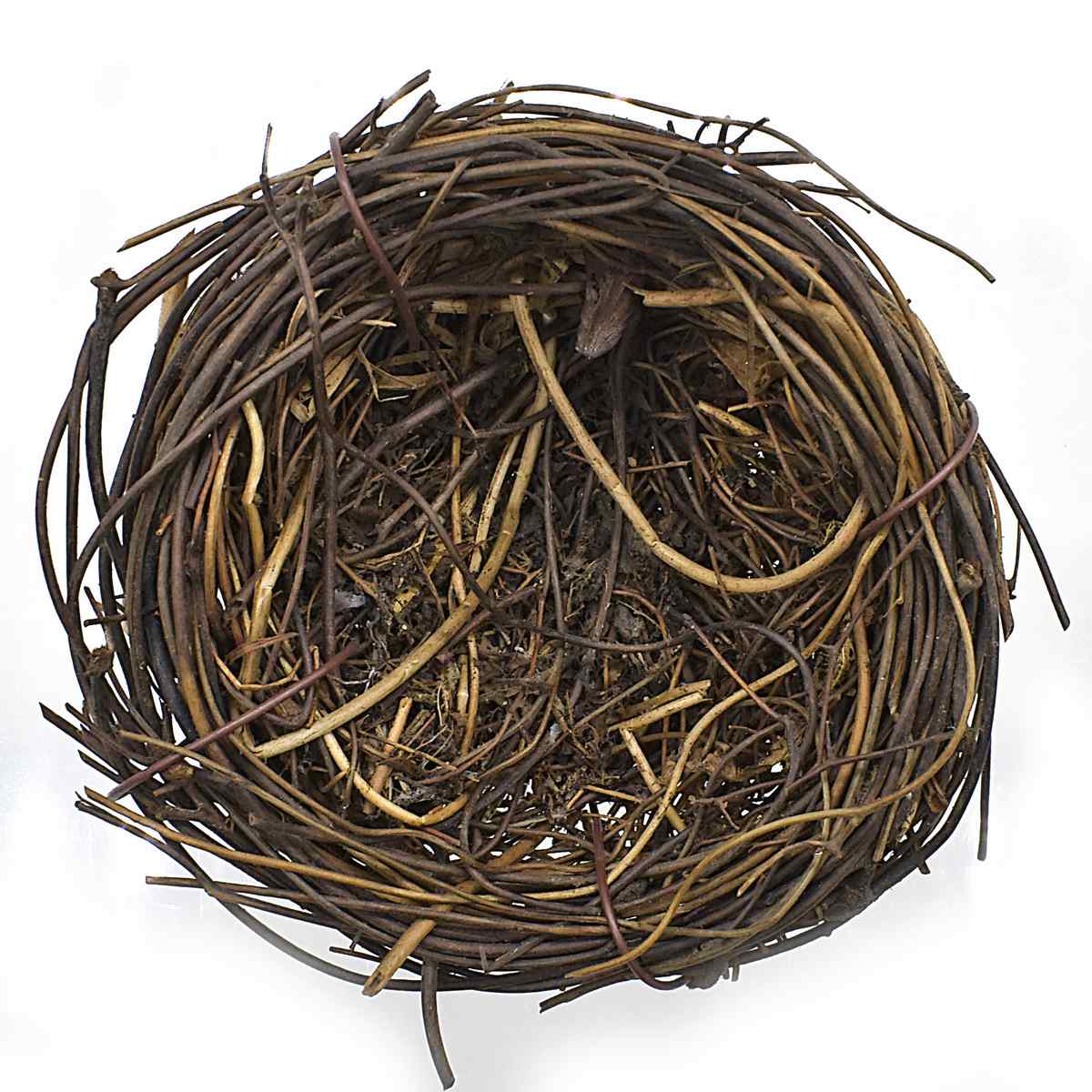 Bird Nest 6Cm Bn6Cm