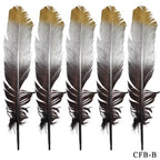 Feather Artificial Big Colour+Gs 5Pcs Cfb-B