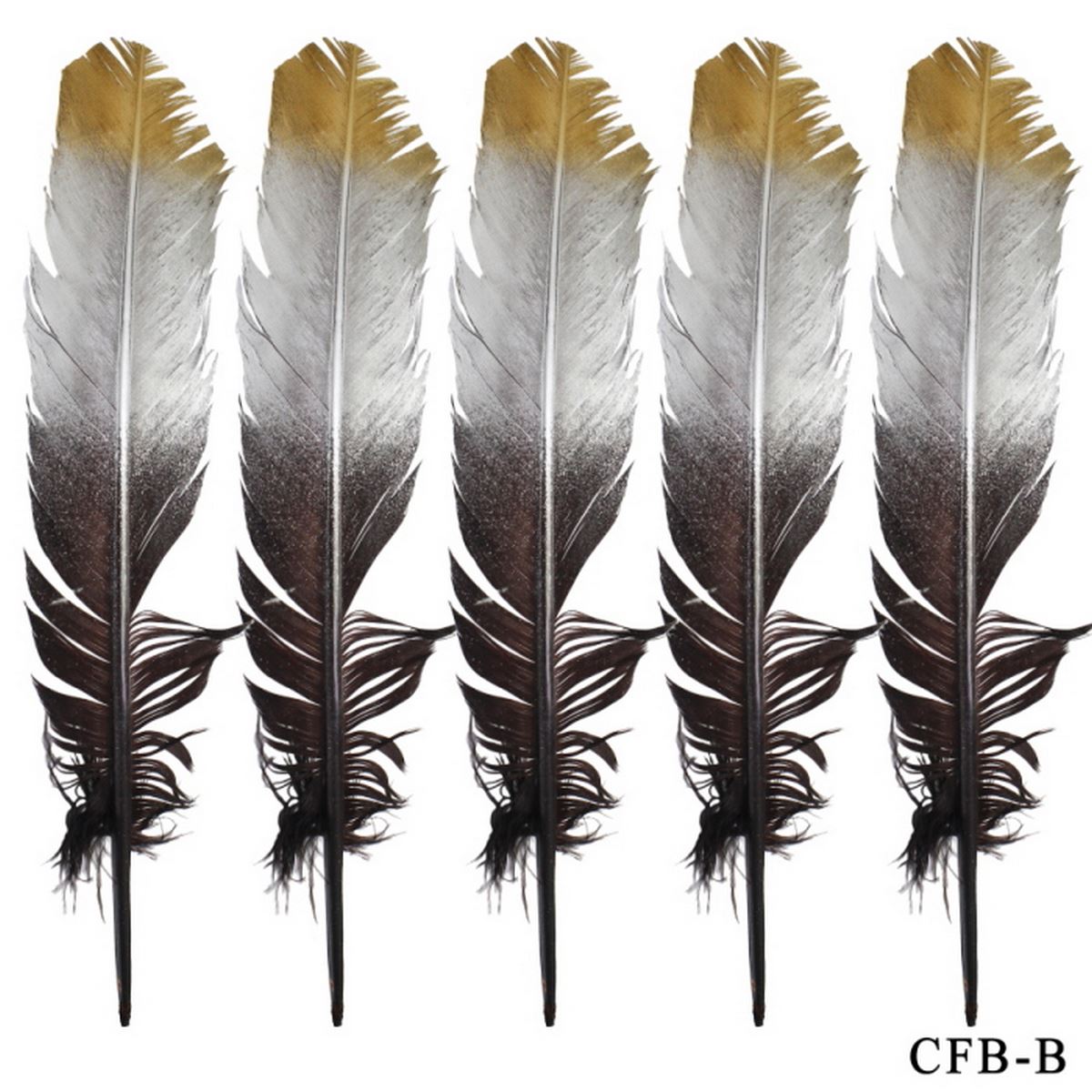 Feather Artificial Big Colour+Gs 5Pcs Cfb-B