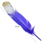 Feather Artificial Big Colour+Gs 5Pcs Cfb-B