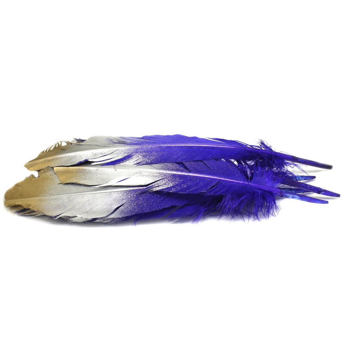 Feather Artificial Big Colour+Gs 5Pcs Cfb-B