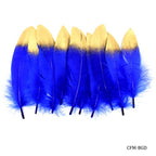 Feather Artificial Medium Colour&Gol 10Pcs Cfm-Bgd