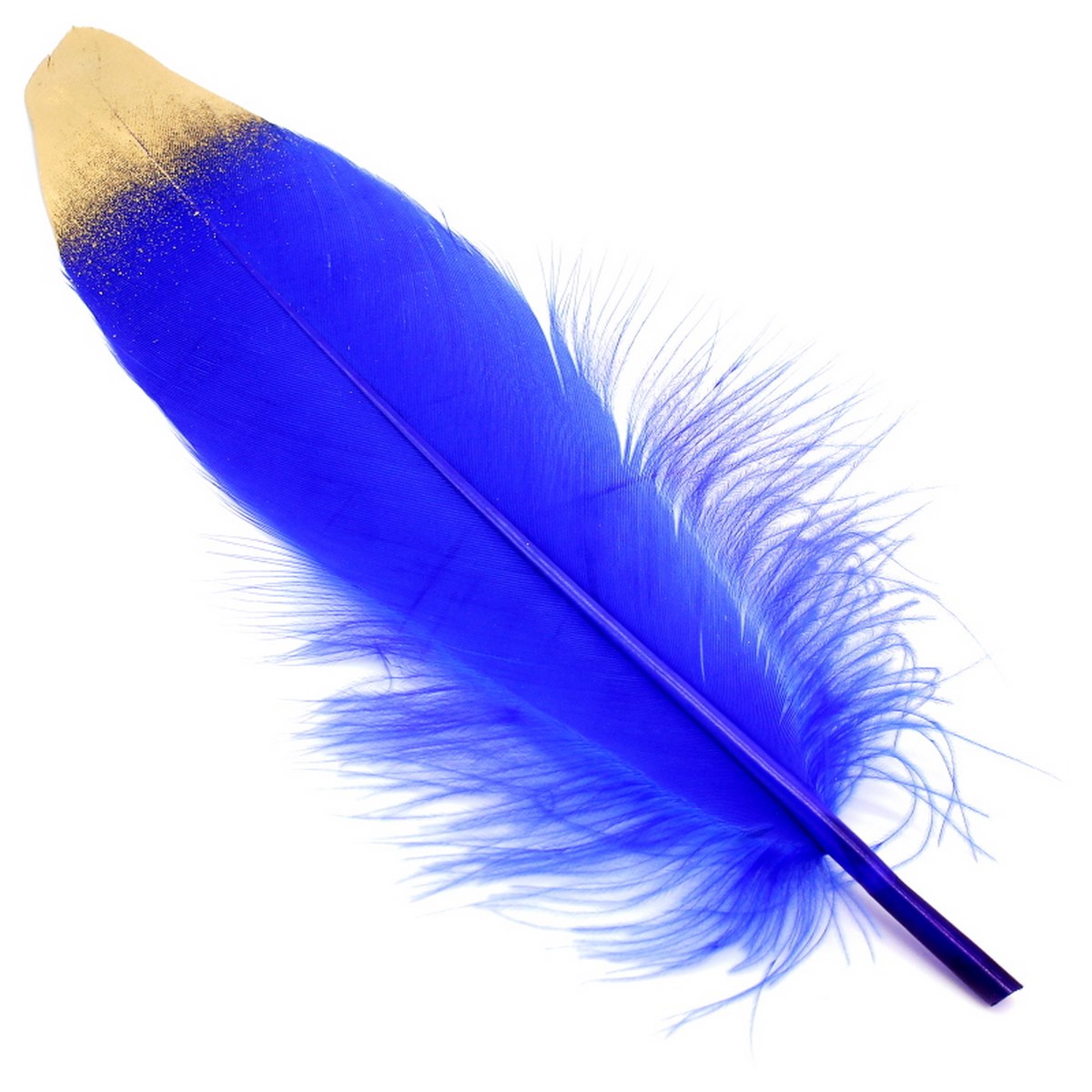 Feather Artificial Medium Colour&Gol 10Pcs Cfm-Bgd