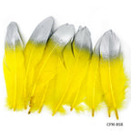 Feather Artificial Medium Colour&Sil 10Pcs Cfm-Bsr