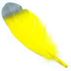 Feather Artificial Medium Colour&Sil 10Pcs Cfm-Bsr