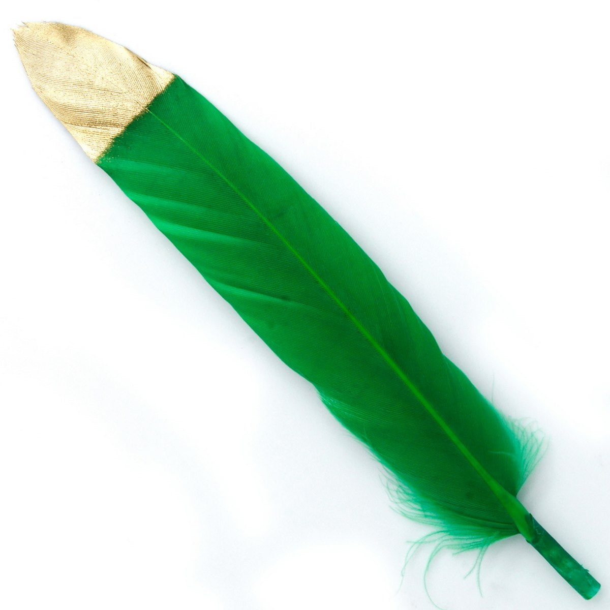 Feather Artificial Small Colour&Gold 10Pcs Cfs-Bgd