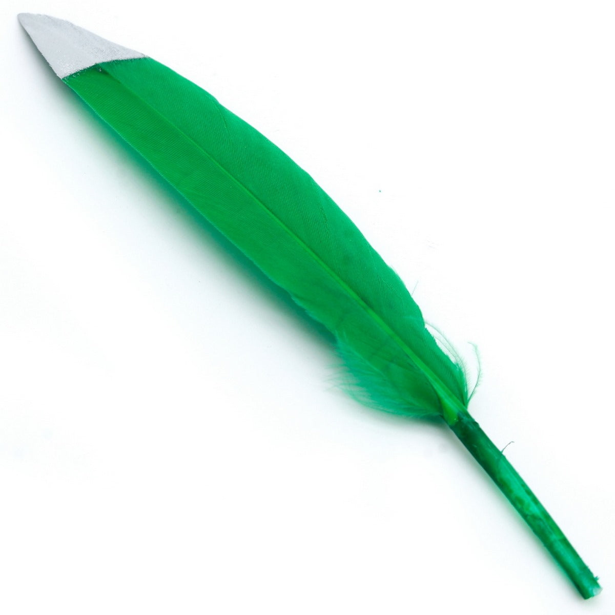 Feather Artificial Small Colour&Silv 10Pcs Cfs-Bsr