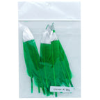 Feather Artificial Small Colour&Silv 10Pcs Cfs-Bsr