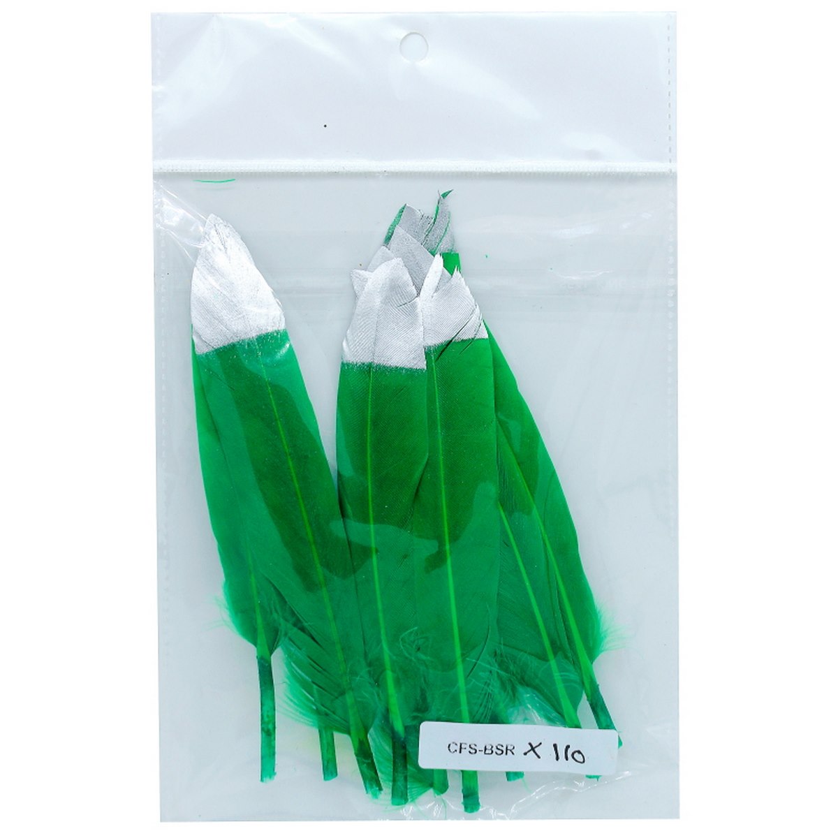 Feather Artificial Small Colour&Silv 10Pcs Cfs-Bsr