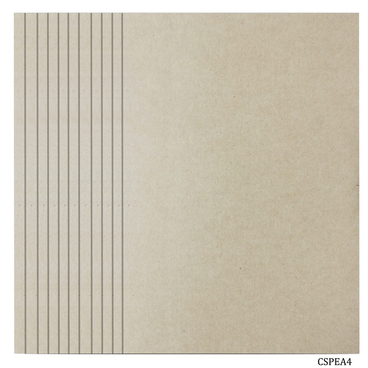 Card Stock Paper Eco 300Gsm A4 10 Sheets CSPEA4