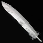 Feather Artificial Small Silver 10Pcs Cfs-Sr