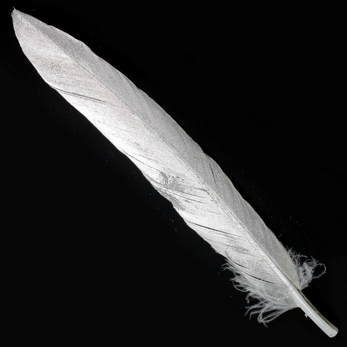 Feather Artificial Small Silver 10Pcs Cfs-Sr