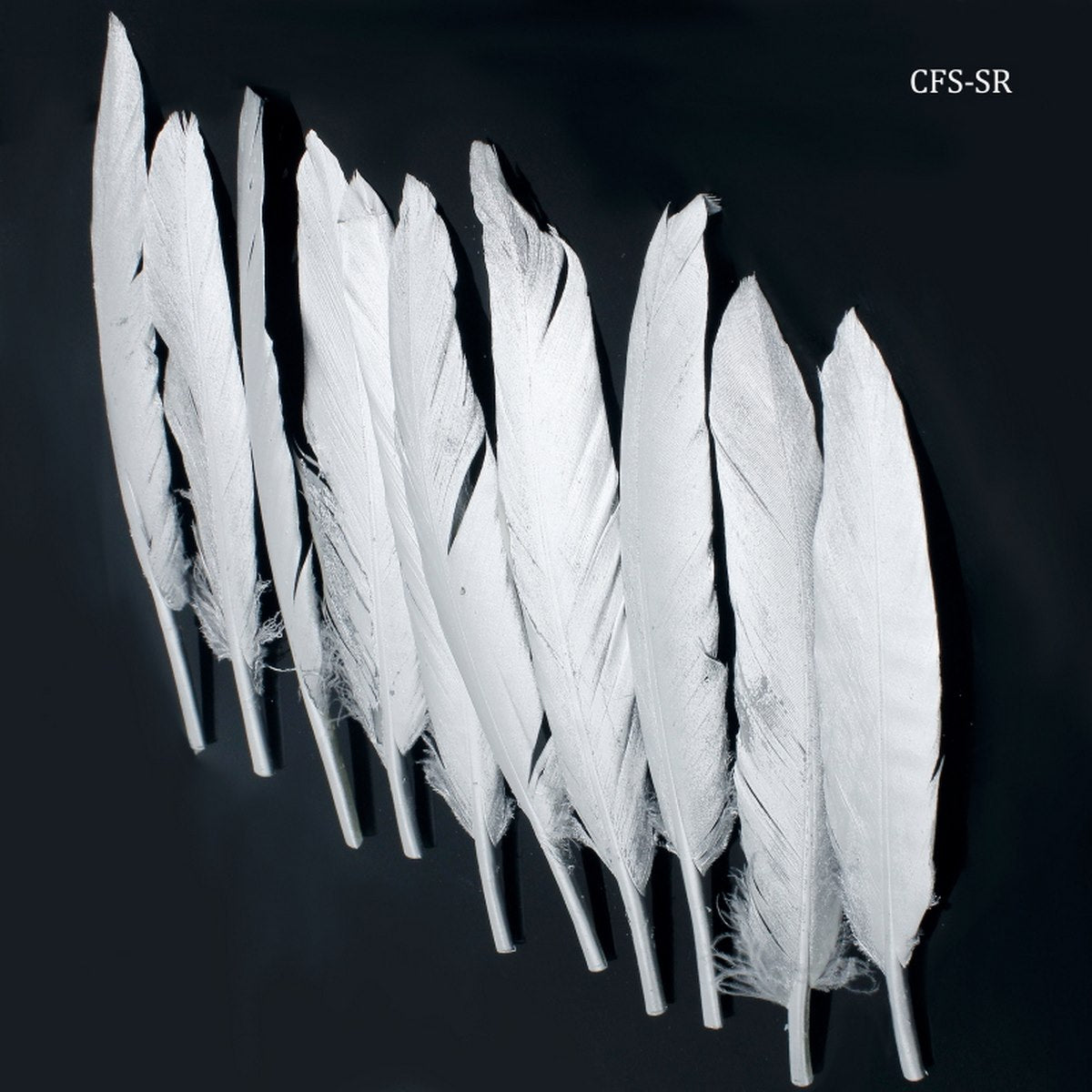 Feather Artificial Small Silver 10Pcs Cfs-Sr