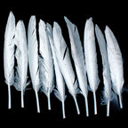 Feather Artificial Small Silver 10Pcs Cfs-Sr