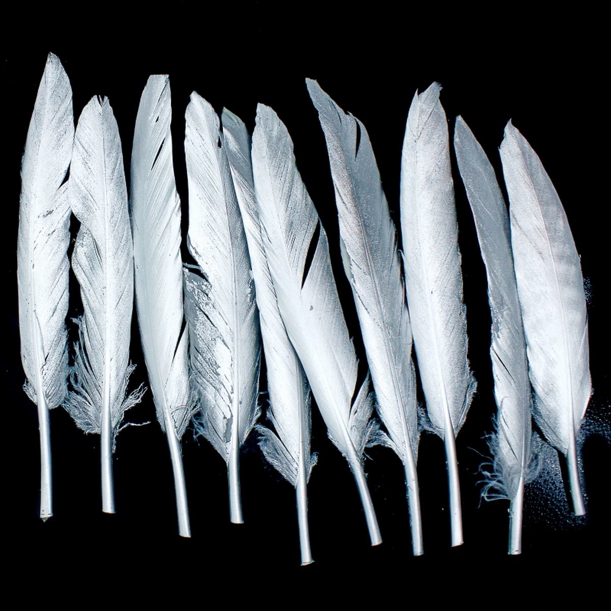 Feather Artificial Small Silver 10Pcs Cfs-Sr