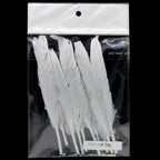 Feather Artificial Small Silver 10Pcs Cfs-Sr