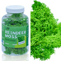 Jags Reindeer Moss 20 Grms Ligth Greeen Jim202