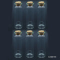 Mini Glass Bottles With Cork 6Pcs Set 22*70 70Mm Gmb700