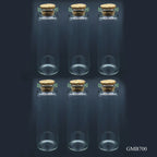 Mini Glass Bottles With Cork 6Pcs Set 22*70 70Mm Gmb700