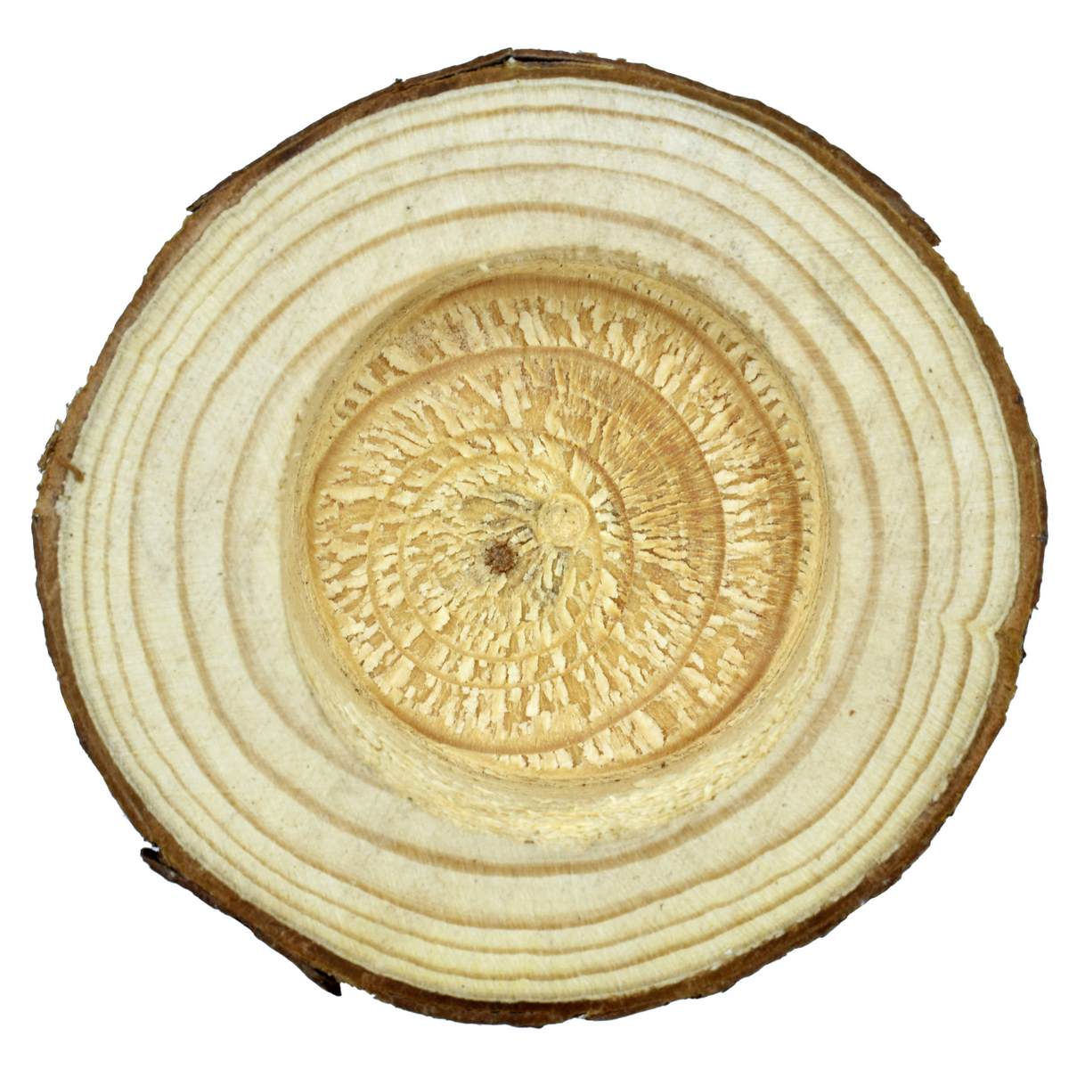 Wooden Candle 8.5X2Cm Wc8X5Cm