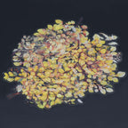 Sticker Leaf Mix Colour CYMY