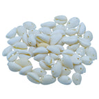 Shells Ordinary Cowdy 50gm White SAWC-03