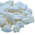Shells Ordinary Cowdy 50gm White SAWC-03