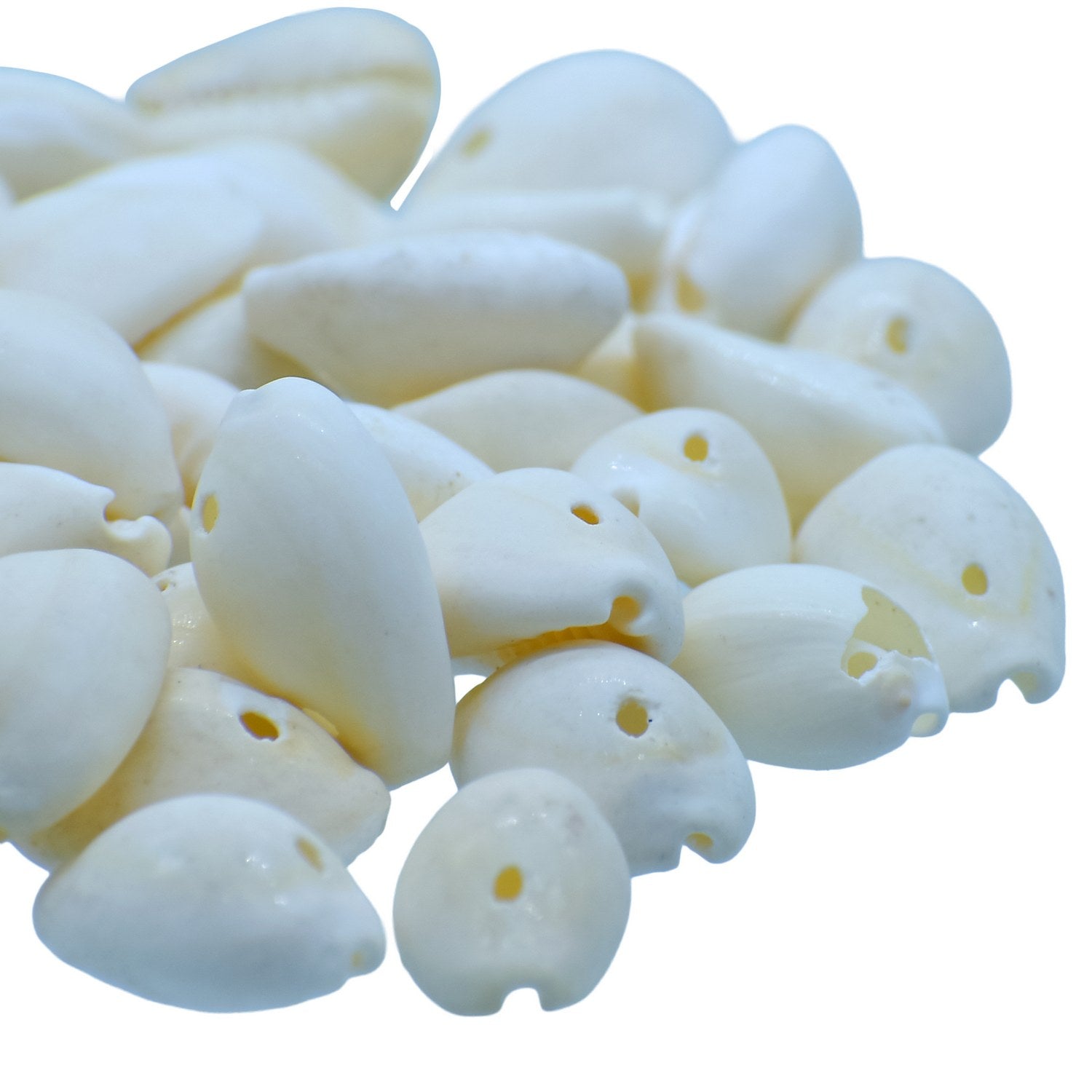 Shells Ordinary Cowdy 50gm White SAWC-03