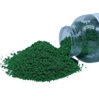 Jags Garden Grass Powder Dark Green 100Gsm GGP100DGN