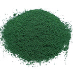 Jags Garden Grass Powder Dark Green 100Gsm GGP100DGN