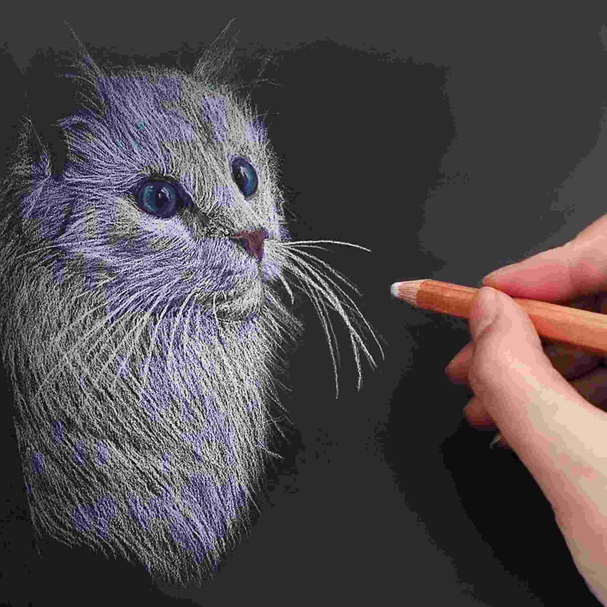 Jags White Charcoal Pencils 3 Piece SBT-3Y