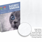 Ivory Sketch Wiro Book A3